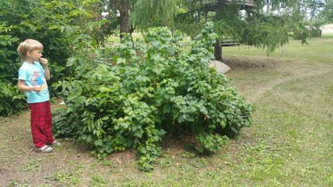 Normand Boucher Community Arboretum